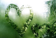 米兰登录入口-包含阿塞拜疆队奋勇拼搏，成功晋级的词条