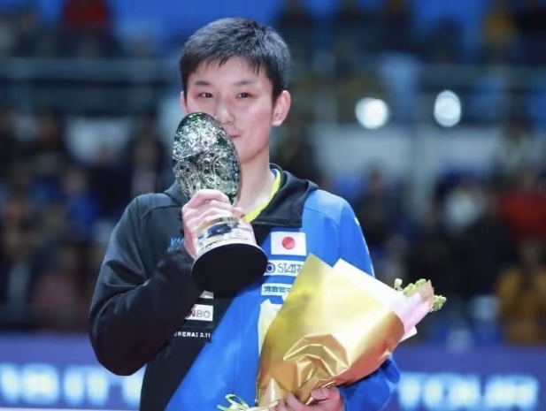 米兰体育-关于日本乒乓球队血洗波兰乒乓球队，张本智和爆发神勇的信息