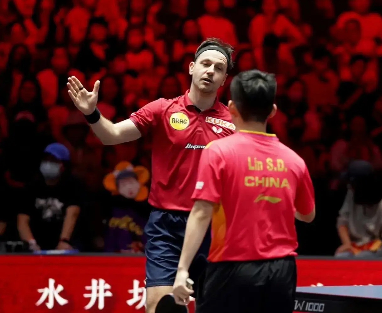 德国乒乓球队逆转英国乒乓球队，波尔制霸全场的简单介绍