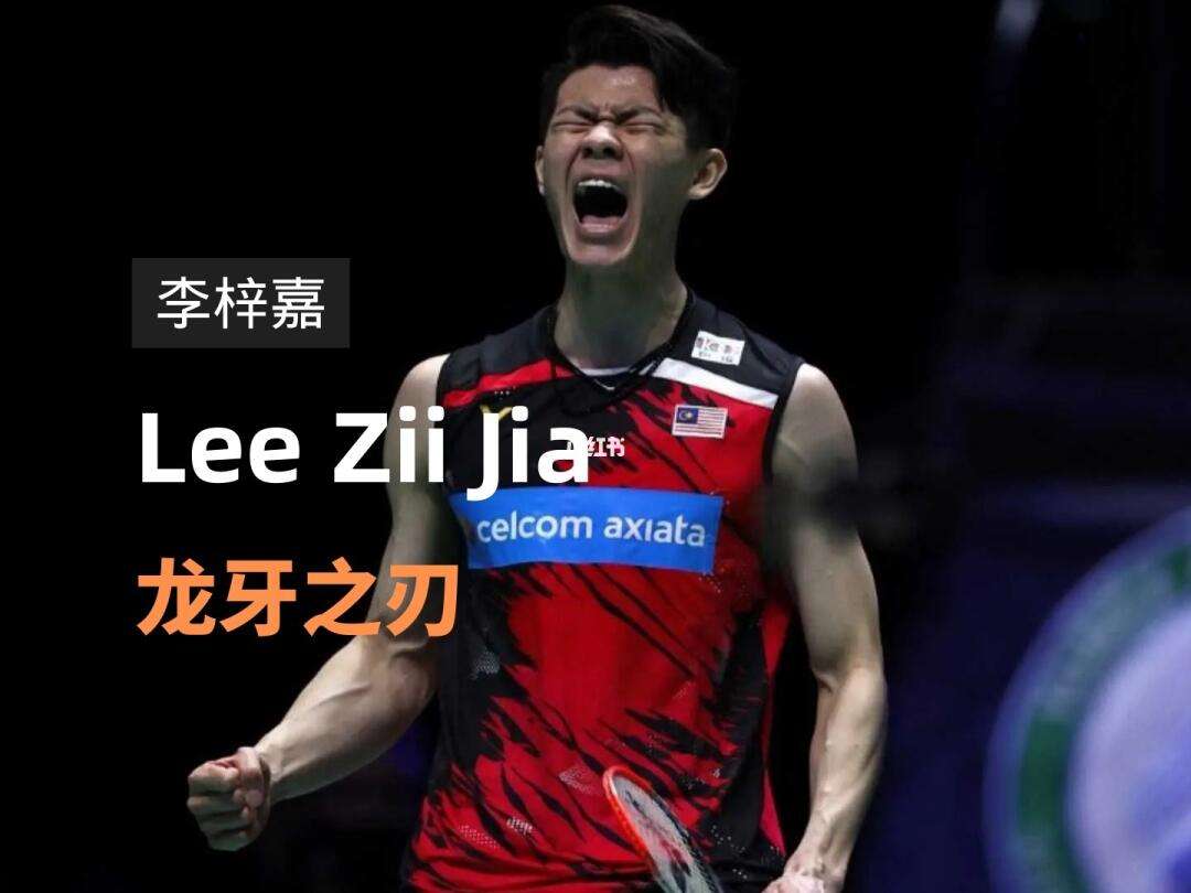 米兰真人-丹麦队翻盘德国队，李梓嘉统治全场的简单介绍