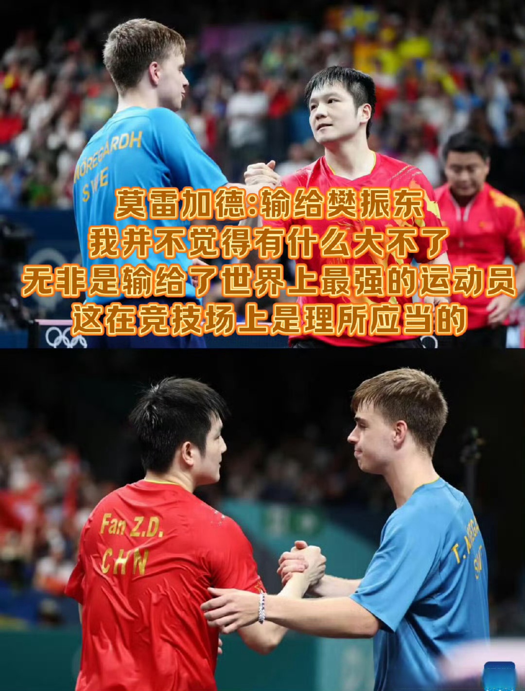 葡萄牙队轻取韩国队，樊振东关键制胜的简单介绍